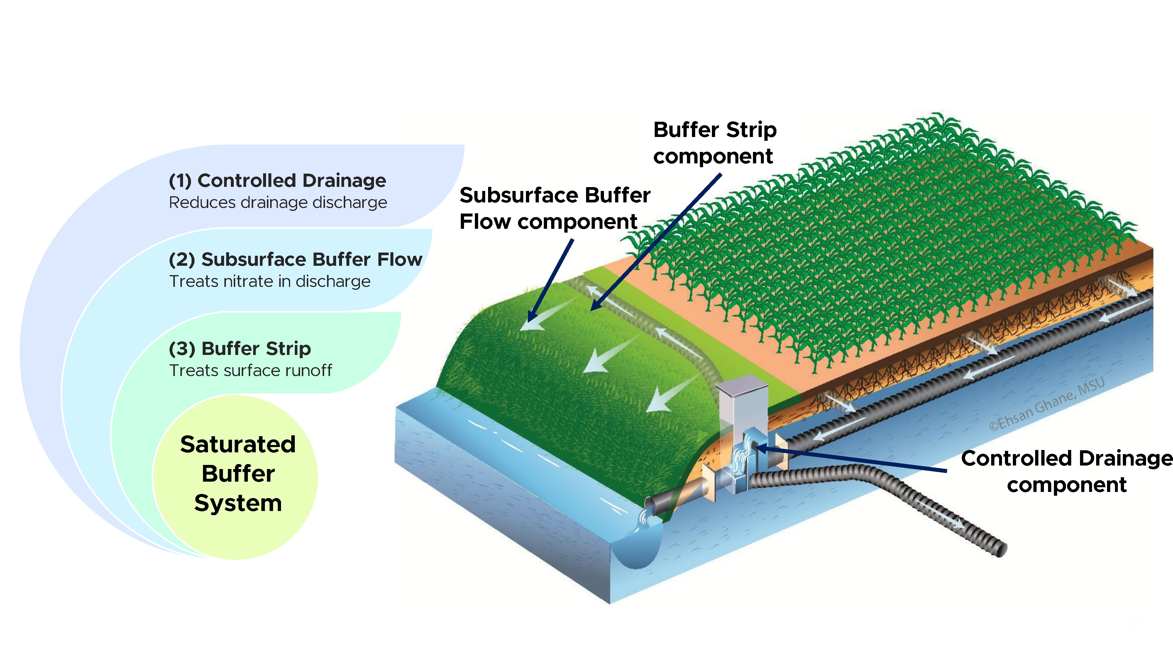 Fig 1 - saturated buffer.jpg